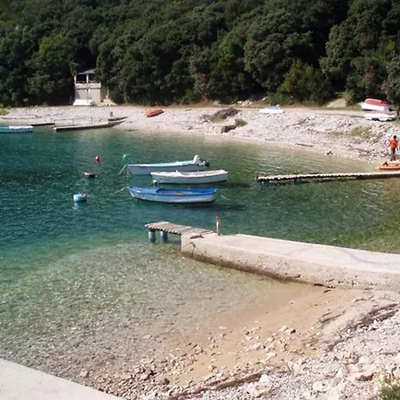 Family Friendly With A Swimming Pool Manjadvorci, Marcana - 2209